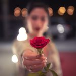 selective focus photo of red rose